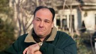 The Coolest Fictional TV Character - Tony Soprano | Images via Hotstar